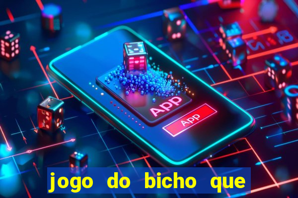 jogo do bicho que paga no pix